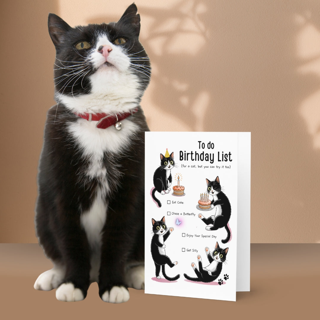10 Inexpensive Gifts for Cat Lovers Under $30 to Brighten Every Occasion