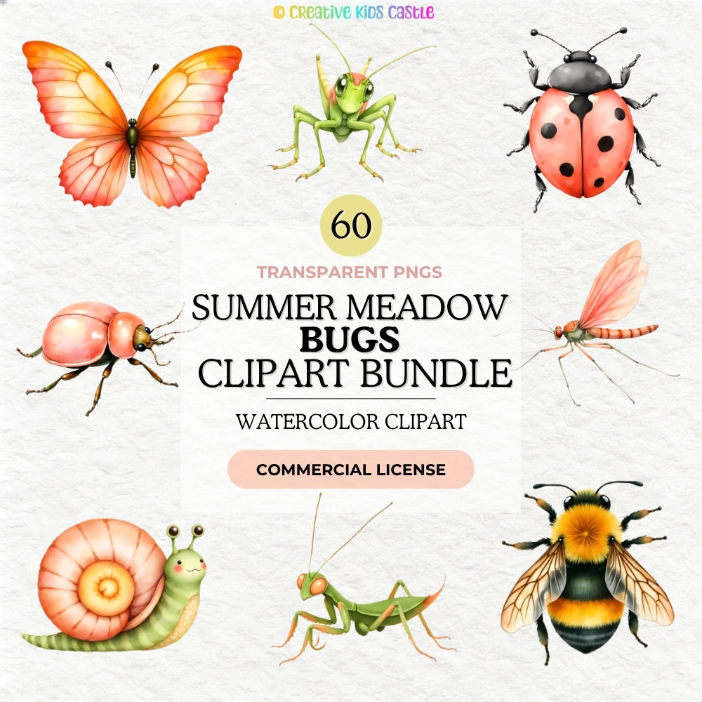 Summer Meadow Bugs -Insect Clipart PNG Bundle
