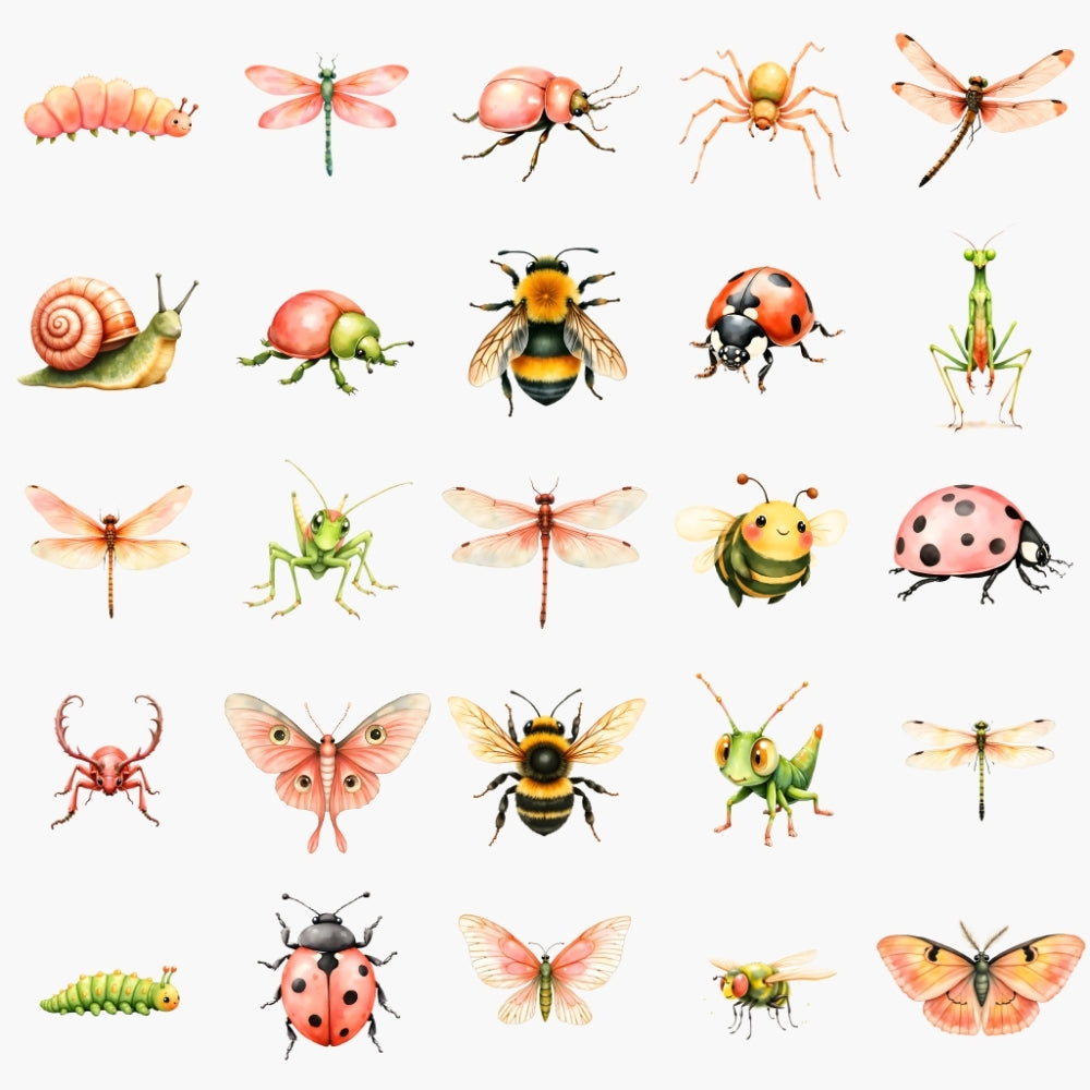 Summer Meadow Bugs -Insect Clipart PNG Bundle