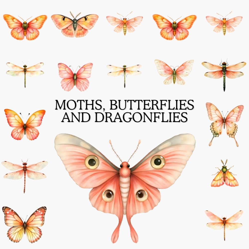 Summer Meadow Bugs -Insect Clipart PNG Bundle