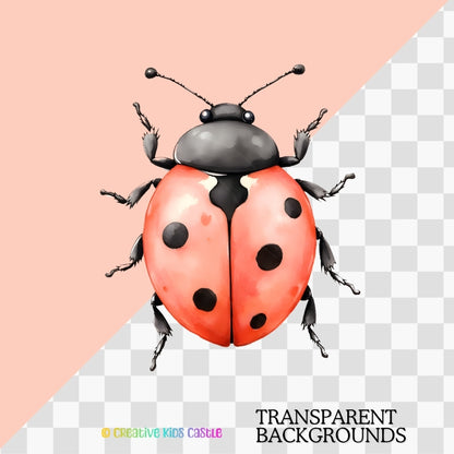 Summer Meadow Bugs -Insect Clipart PNG Bundle
