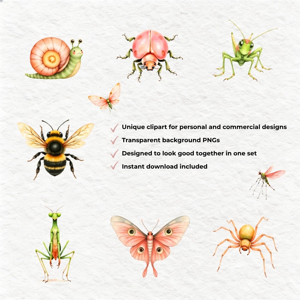 Summer Meadow Bugs -Insect Clipart PNG Bundle