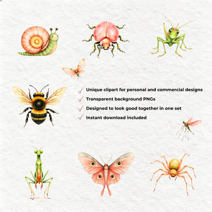 Summer Meadow Bugs -Insect Clipart PNG Bundle
