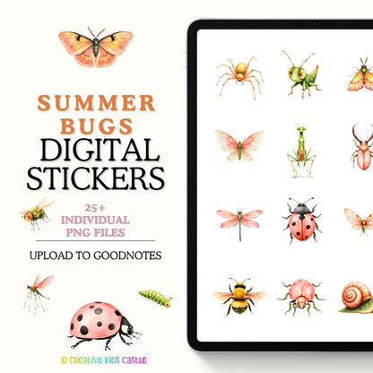 Summer Meadow Bugs -Insect Clipart PNG Bundle