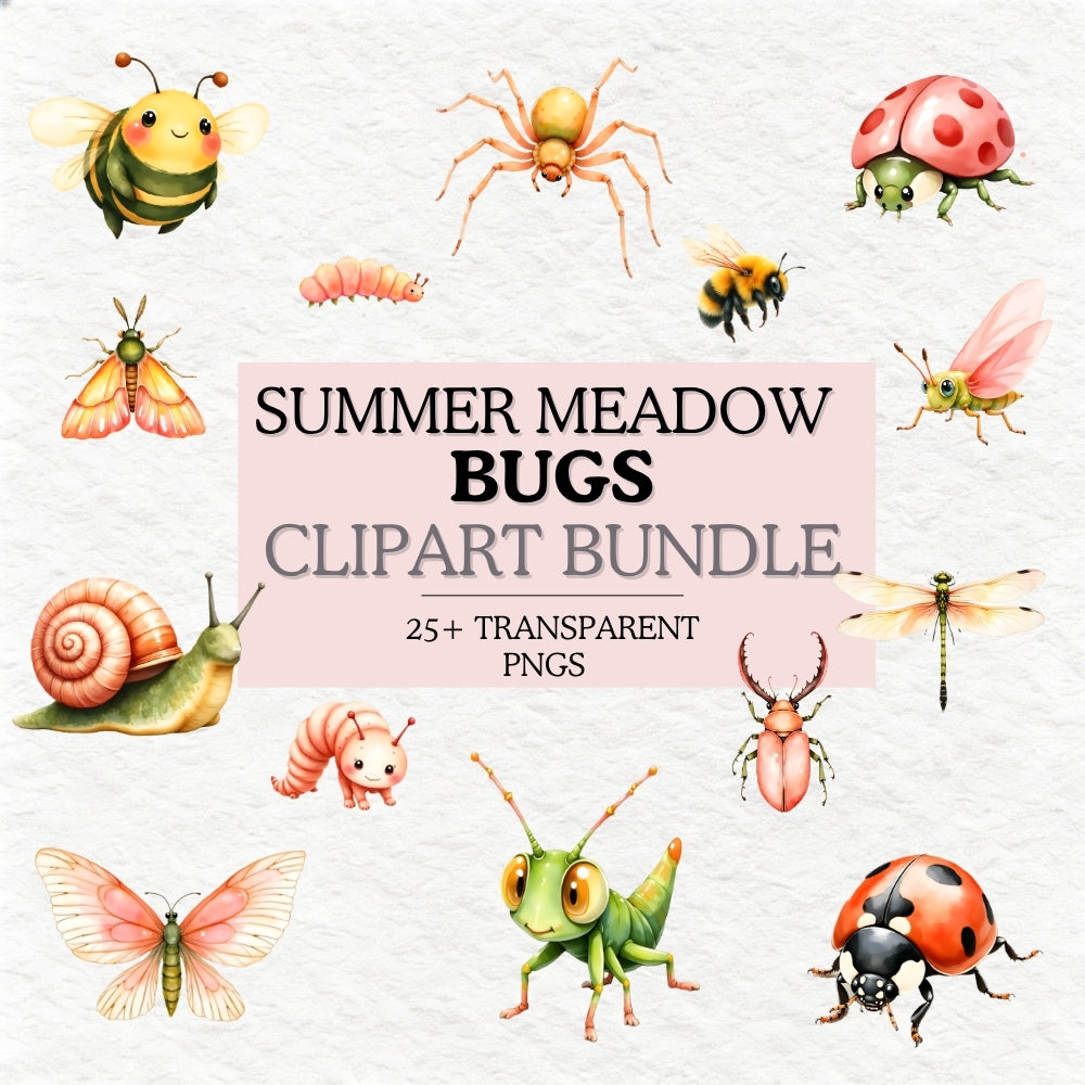 Summer Meadow Bugs -Insect Clipart PNG Bundle