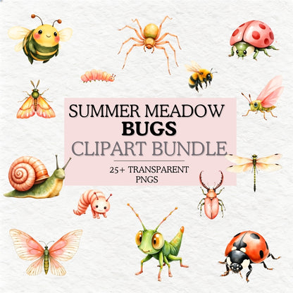 Summer Meadow Bugs -Insect Clipart PNG Bundle
