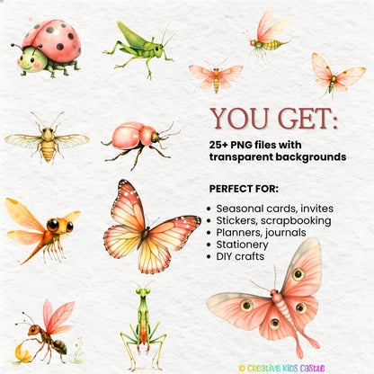 Summer Meadow Bugs -Insect Clipart PNG Bundle