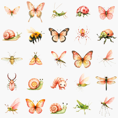 Summer Meadow Bugs -Insect Clipart PNG Bundle